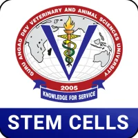 Stem Cells